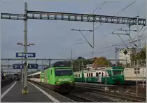 Das Thema heute: Grüne Züge. Die SBB Re 460 080-5  Mirgros  mit dem IR 1711 von Genève Aéroport nach Brig begegnet dem vor gut zwei Stunden in Morges eingetroffen und nun abgestellten Regionalzug 107, der dank dem straken Güterverkehr heute mit einen Be 4/4 statt einer Ge 4/4 geführt wurde.
15. Oktober 2014