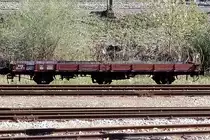 BOB, Lal, 832, 25.04.2004 Interlaken 


