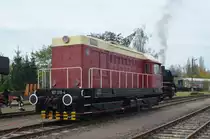 107 018 von Railsystems bei den 14. Eisenbahntag in Leipzig Plagwitz 25.10.2014