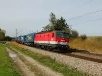 Die 1144 220 mit einem KLV-Zug am 13.10.2012 unterwegs bei Ostermünchen.