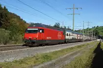 Re 460 061-5 befindet sich am 18.10.2014 mit dem IC 816 in Mülenen.