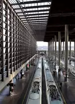 Ungewöhnliche Perspektiven eröffnen sich durch die enorm hohe Bahnhofshalle von  Madrid Puerta de Atocha . 26.9.2014