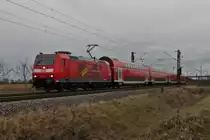 Am 03.01.2014 fuhr 146 115  Baden-Württemberg erfahren  als RB 26563 (Freiburg (Brsg) Hbf - Neuenburg (Baden)) westelich vom Weinort Hügelheim dem nächsten Zwischenhalt in Müllheim (Baden) entgegen. 