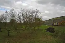 ES 64 U2-096 am 23.10.14 in Thüngersheim gen Würzburg