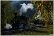 STLB Dampfloks STLB U 11 und BH 1, beim Halt zum Wassernehmen in Stadl an der Mur.
10.10.2014