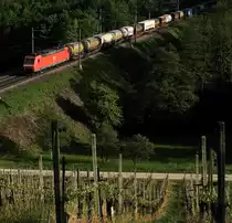 185er bei Villnachern Bözberg Süd
7. Mai 2009