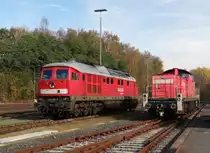 232 534-8 und 294 760-4 zu sehen am 04.11.14 in Marktredwitz.