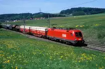 1016 013  bei Köstendorf  07.05.08