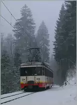 Und weiter geht die Fahrt durch den Winterwald Richtung Les Brents.
18. Jan. 2010