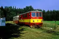 705 919  Horny Skrychov  16.08.98