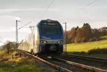 In herbstlicher Abendsonne ist Meridian ET 302 nach Salzburg unterwegs. Mauerkirchen im Chiemgau, 09.11.2014