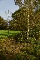 Eigentlich könnte man meinen es wäre ein Landschaftsfoto...doch es ist ein Bahnbild.
Es zeigt einen Teil der ehemaligen Jülicher Kreisbahn Strecke bei Kirchberg an der Strecke von Jülich nach Puffendorf den die Natur zurück erobert hat. 26.10.2014