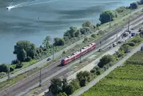BR 442 nach Cochem im Moseltal bei Winningen - 17.09.2014
