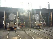 Das BW Wolsztyn (Wollstein) im M�rz 1991 Heute sind nur noch 2-3 Dampfloks t�glich im Planeinsatz.(Archiv P.Walter)