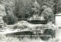Wir schreiben das Jahr 1982. 7 Jahre vor der Grenzöffung baut die DB die Gleise der Strecke von Marxgrün nach Blankenstein (Thür) ab. Die 260 des Bw Hof passiert gerade das Flusswehr im Höllental. Heute könnten wir die fränkische Höllentalbahn sehr gut gebrauchen. Reaktivierung tut not!

Um dieses Anliegen kümmert sich der Verein Hoellennetz e.V.