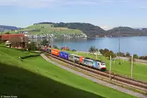 186 105 mit Güterzug am 14.10.2014 bei Immensee.