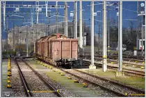 Hemmschuhe en masse, da kann nichts schief gehen. Buchs SG. (19.11.2014)