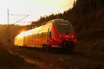 442 607 DB Regio auf der Frankenwaldrampe bei Steinbach am 12.11.2014.