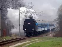 Nikolauszug mit Damfloko 423.009 auf der Bahnstrecke 024. (29.11.2014)