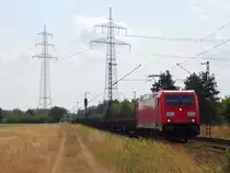 5 Loks der Baureihe 185 sind komplett Blank unterwegs. Von 185 312 bis 185 317 kann man sich echt denken, dass man einfach mal alle Logos vergessen hat. 
So konnte am 30.07.13 185 317 bei Wiesental abgelichtet werden. 