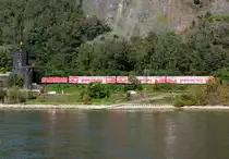 Regio mit Dostos rechtsrheinisch bei Erpel - 01.10.2014