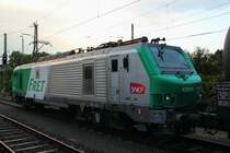 437001 Akiem in Hochstadt/ Marktzeuln am 11.06.2013.