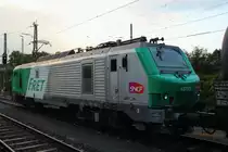 437001 Akiem in Hochstadt/ Marktzeuln am 11.06.2013.