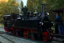 Was dem Heizer von 99 5906 wohl hier gerade durch den Kopf gehen mag? Szene am Nachmittag des 17.10.2014 im Bahnhof Alexisbad.