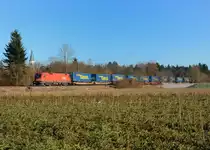 1116 103 mit einem Walter-KLV am 24.12.2014 bei Eglharting. 