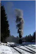 HSB Dampflok 99.7247 fährt mit dem Zug 8925 von Wernigerode auf den Brocken. Schierke 5.3.2013