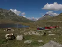  ABe 4/4 III 56  Corviglia  am 7.September 2014, an der Wasserscheide am Berninapass