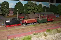 Große Modulanlage der IGM Kaarst e.V.  Karlsforst , Wagenübergabe von Vollspur auf Schmalspur im Rollwagen-Verkehr

Internationale Modellbahnausstellung der IGM Kaarst, 23.02.2013