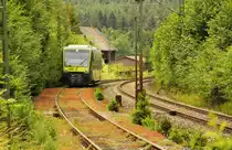 VT 650.701 Agilis bei Seehof am 25.06.2011.