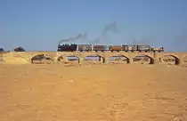   442 54  Dogali  16.12.12