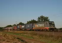 HR 241 010 mit DGS 42703 (Katrineholm–Wanne-Eickel) am 01.10.2011 zwischen Bad Bevensen und Uelzen