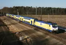 ME 146 536 mit MEr 81615 (Hamburg-Harburg–L�neburg) am 30.11.2011 in Radbruch