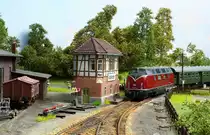 V200 in der Bahnhofseinfahrt meiner Anlage. Es ist eigentlich eine Anlage in den späten 20er Jahren, aber diese Lok gefällt mir zu gut. Aufnahmedatum 13.01.2015