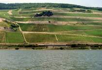 141 xxx mit Nahverkehrszug Richtung Koblenz am 24.07.1992 zwischen R�desheim (Rhein) und Assmannshausen