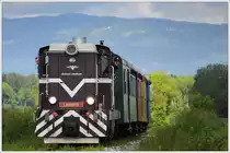 L45H-070 auf der Fahrt von Stainz nach Preding am 10.5.2014 kurz vor Kraubath aufgenommen. Herr Ferk lässt grüßen ;-) .