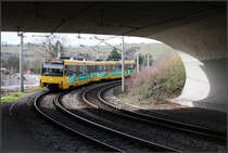 . Bögen, liegend und stehend -

Ein Zug der Linie U14 befährt von der Neckarbrücke her kommend den Gleisbogen und der bogenförmig gestalteten Brücke in Stuttgart-Münster. Die erkennbaren Baustellen-Absprerrungen schützen den Bau der neuen Stadtbahnstrecke für die U12, die dann kurz vor dem Neckar auf die Trasse der U14 trifft.

04.03.2015 (Matthias)

