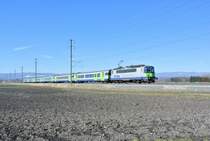 Re 420 501-9 mit ihrem EWIII Pendel als RE 3937 zwischen Mntschemier und Kerzers, 06.03.2015.

