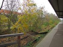 Die Reste vom früheren Gleis 3, am 30.11.2014 in Niederwalluf.