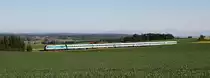 Der  Alex  konnte auf seiner Fahrt nach München am 13.06.13 bei Kottgeisering fotografiert werden.
