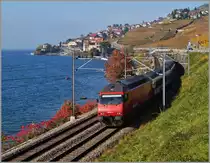 Bunter Herbst am Lac Léman: Re 460 037-5 mit dem IR 1811 kurz vor St-Saphorin.
2. Nov. 2014