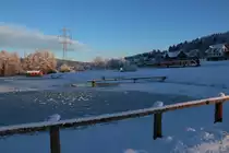 2. Februar 2015 bei Deutschlandsberg. Frischer Neuschnee hüllt die Welt ein und der Sonnenschein bringt ihn zum strahlen. 