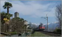 Die SBB Re 4/4 II 11198 erreicht mit dem IR 2323 von Arth Goldau nach Locarno in wenigen Minuten sein Ziel.
18. März 2015