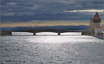 Stürmische Stimmungsschwankung. Seehas auf der Rheinbrücke Konstanz. März 2015.