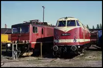 250013 neben 118804 stehen am 1.5.1990 an der Drehscheibe im BW Leipzig - Engelsdorf.
