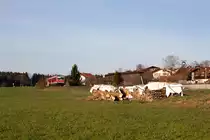 In Weibhausen wurde am 10.04.15 der 628 628-0 der Südostbayernbahn auf seiner Fahrt von Traunstein nach Waging am See fotografiert. Sein nächster Bedarfshalt wird in Unteraschau sein.