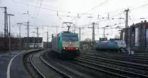 Die Cobra 2828 kommt aus Richtung Köln mit einem langen Kesselzug aus Ludwigshafen-BASF nach Antwerpen-BASF(B) und fährt durch Aachen-Hbf in Richtung Aachen-Schanz,Aachen-West.
Aufgenommen vom Bahnsteig 2 vom Aachen-Hbf bei Sonne und Regenwolken am Vormittag vom 31.3.2015.